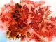 17 - June Cutler - Autumn Fruits - Watercolour.JPG